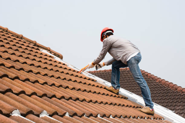 Best Rubber Roofing (EPDM, TPO)  in Sisseton, SD