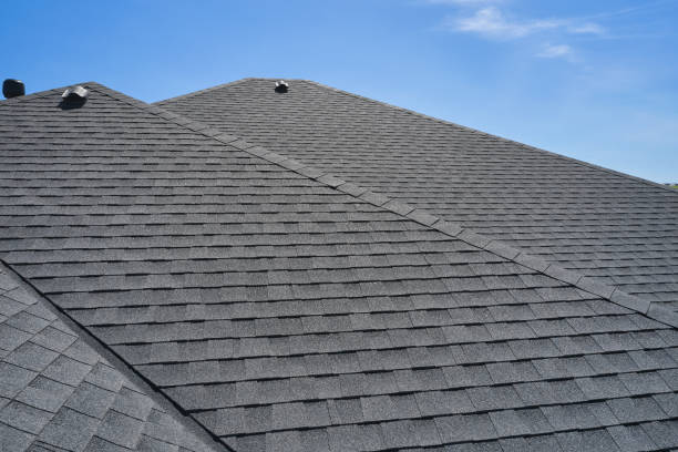 Best Roof Maintenance and Cleaning  in Sisseton, SD